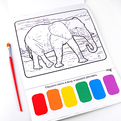 Раскраска волшебная "Животные" 8 картинок А4 + кисточка