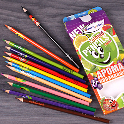 Карандаши 12цв "Darvish" ароматизированные (набор)