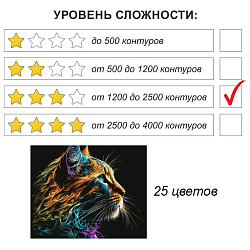 Рисование по номерам на чёрном холсте 40*50см  "Кот"
