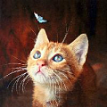 Алмазная живопись  30*30см  Котёнок с бабочкой
