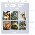 Тетрадь  96л кл. "Котики" обл. мел. картон, выборочный лак