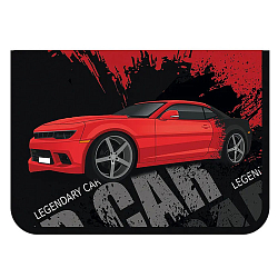 Папка для труда А4 на молнии RED CAR