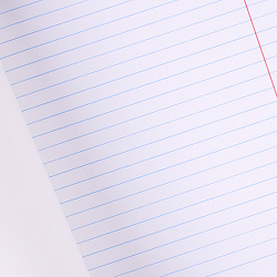 Тетрадь  18л линия цв. обл "Классика без слов-5"