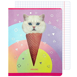 Тетрадь   48л кл. So Funny  обложка глян.лам.,микротекстур,тиснение фольгой,полноцв.оборот