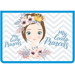Папка  для тетрадей  А4 на молнии, печать на картоне Любимая принцесса