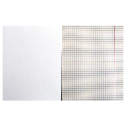 Тетрадь  48л кл. офсет-2  "Гонки"