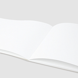 Альбом для рисования 20л на склейке "Птенец-первоклашка" 100гр/м2  РБ