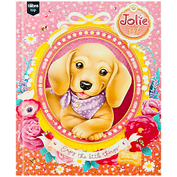 Алмазная  мозаика 25*30см "Darvish"