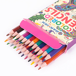 Карандаши 24цв "Darvish" "Бабочка" корпус пластиковый шестигранный (набор)