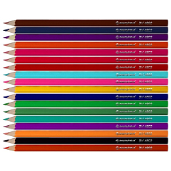 Карандаши 18цв "Darvish" "Дети" корпус шестигранный (набор)