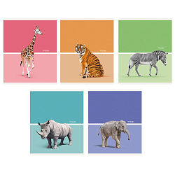 Тетрадь  48л кл. "Wild animals" обл. мелов. картон