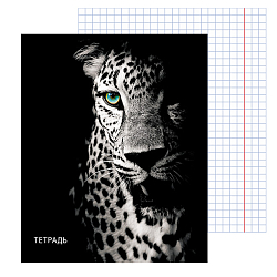 Тетрадь  48л кл "Леопард на чёрном" обложка мел. кар.