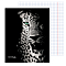 Тетрадь  48л кл "Леопард на чёрном" обложка мел. кар.