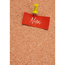 Книга для записей А5 100л Notes
