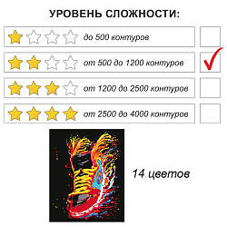 Рисование по номерам на чёрном холсте 40*50см  "Кроссовок"