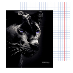 Тетрадь  48л кл "Чёрная пантера" обложка Уф-лак