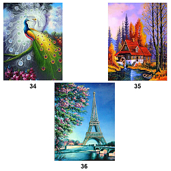 Алмазная живопись "Darvish" 30*40см ассорти