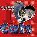 Альбом 20л. цв.мелов.карт.обл. "Котенок"