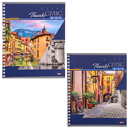 Тетрадь   80л кл. на гребне "Улица"