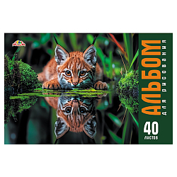 Альбом для рисования 40л. на скрепке "Дикий котёнок"