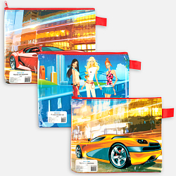 Папка  для тетрадей  А5 на молнии с рисунком "Darvish"