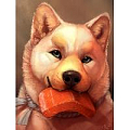 Набор для творчества "Рисование по номерам" 30*20см  Щенок