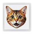 Штампик мордочка котика