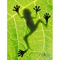 Книга для записей А6 (110*145) 80л Frog обложка глянцевая ламинация