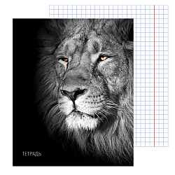 Тетрадь  40л кл "Лев" обл. мел. кар