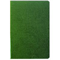 Ежедневник  А5 недатиров 150л "Darvish" обложка к/з ламинированная (черная,коричневая,синяя,зеленая)