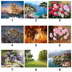 Алмазная живопись "Darvish" 50*65см ассорти