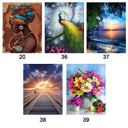 Алмазная живопись "Darvish" 50*65см ассорти