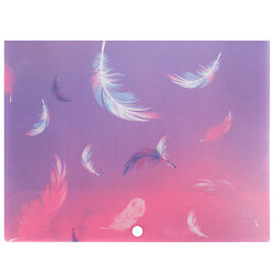 Папка на кнопке "Feather" А4 500мкм (ассорти)