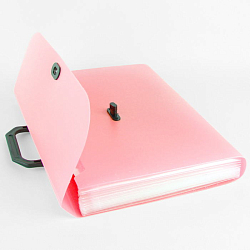 Портфель А4 13 отделений Ice розовый