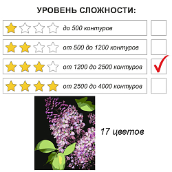 Рисование по номерам на чёрном холсте 40*50см  "Сирень"