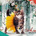 Альбом 20л. на гребне, мел.цв.обл."Котенок в юбке"