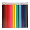 Карандаши 24цв трехгранный корпус