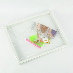 Алмазная  мозаика 25*30см "Darvish"