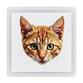 Штампик мордочка котика