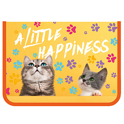 Папка  для тетрадей  А5 молния вокруг Котята