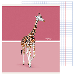 Тетрадь  48л кл. "Wild animals" обл. мелов. картон