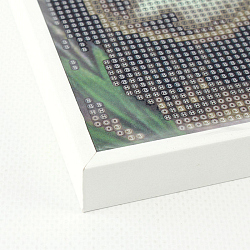 Алмазная мозаика "Darvish" 25*30см