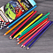 Карандаши 12цв "Darvish" "Машинка" корпус пластиковый шестигранный (набор)