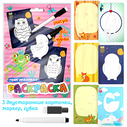 Раскраски-карточки многоразовые