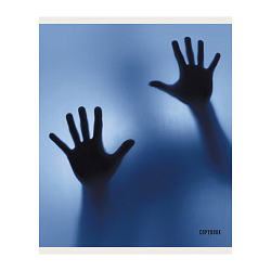 Евротетрадь А5 48л Force Team. 3