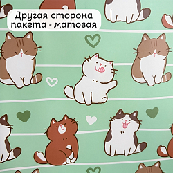 Пакет подарочный 18*23*10 см "Котики"