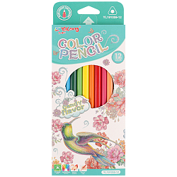 Карандаши 12цв ароматизированные трёхгранный корпус