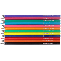 Карандаши 12цв "Darvish" "Жар-птица" корпус пластиковый шестигранный (набор)